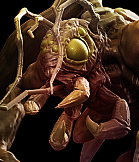 facebug.jpg