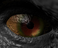 Untitled1.jpg