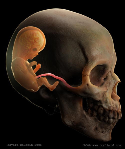 skullbaby.jpg