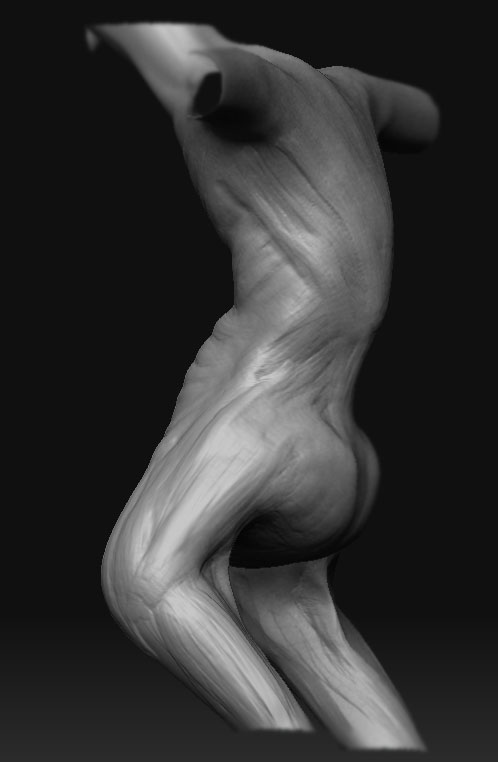 wip_back_1.jpg