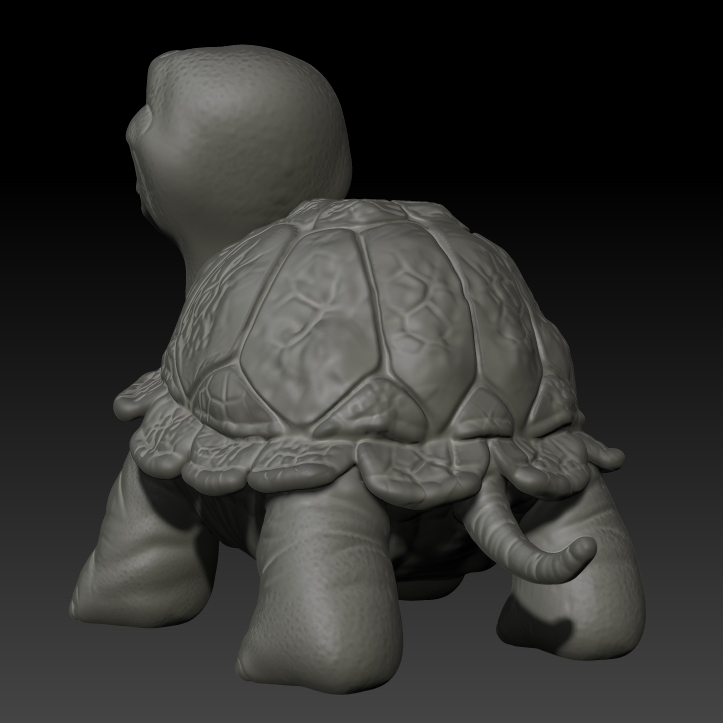 Turtle-2.jpg