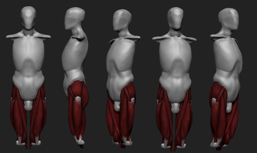Torso.jpg
