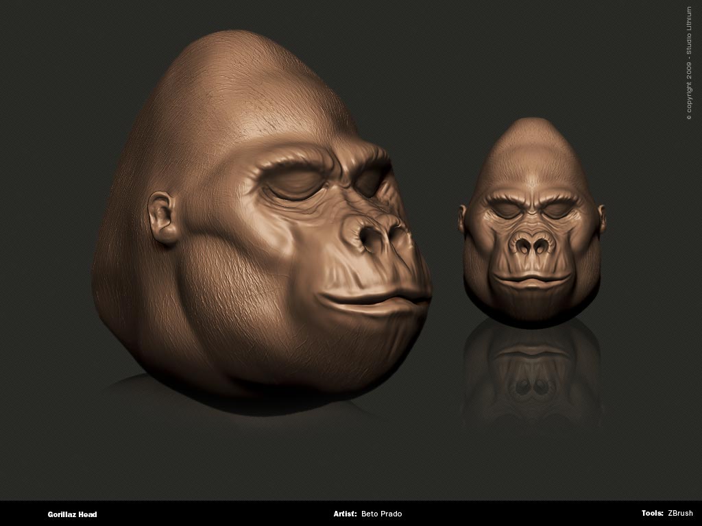 gorilla.jpg