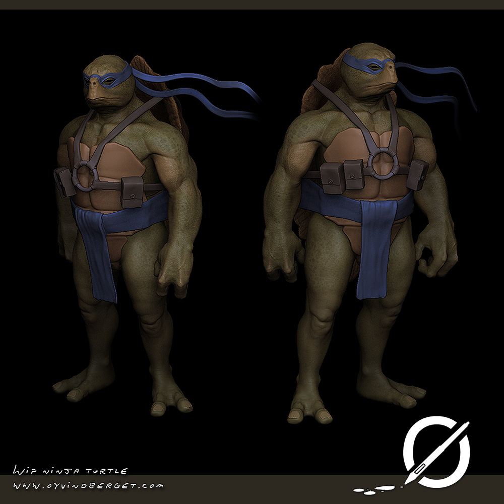 ninja turtle.jpg