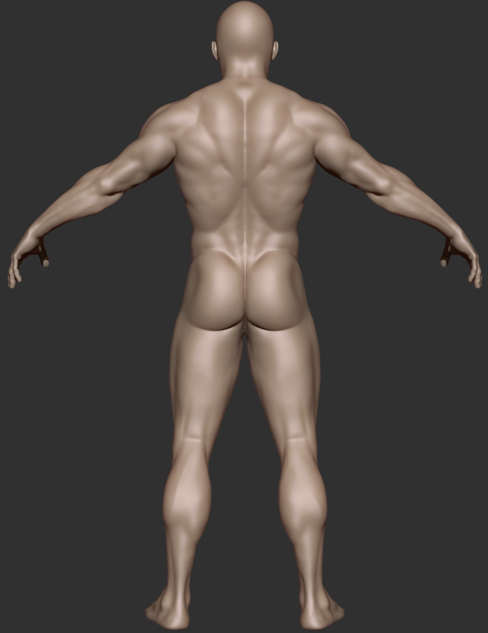 muscular guy_back.jpg