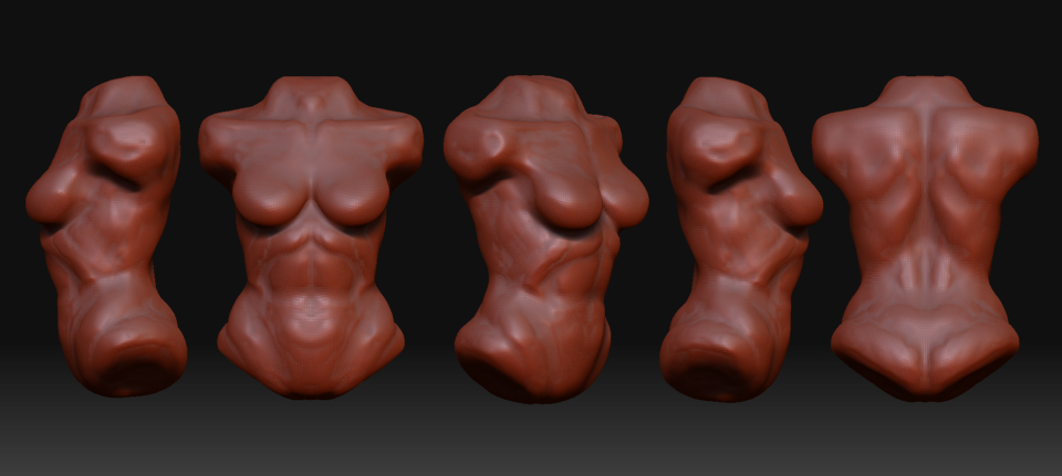 Torso1.jpg