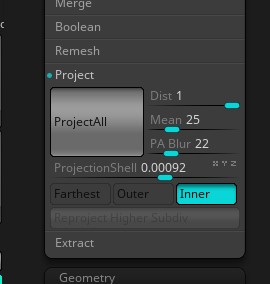 projection settines.jpg