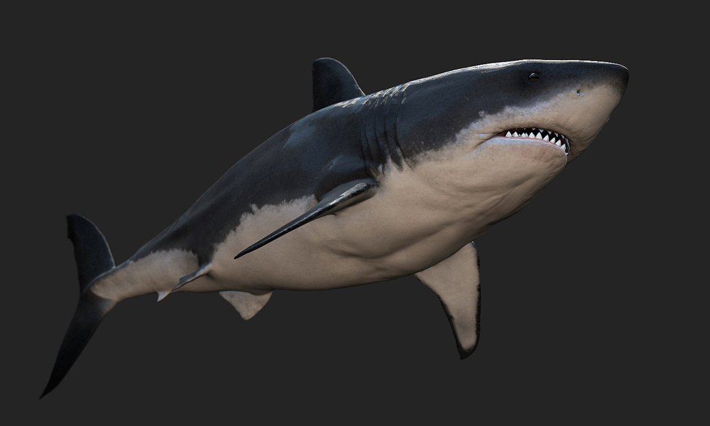 bruce wip 004.jpg