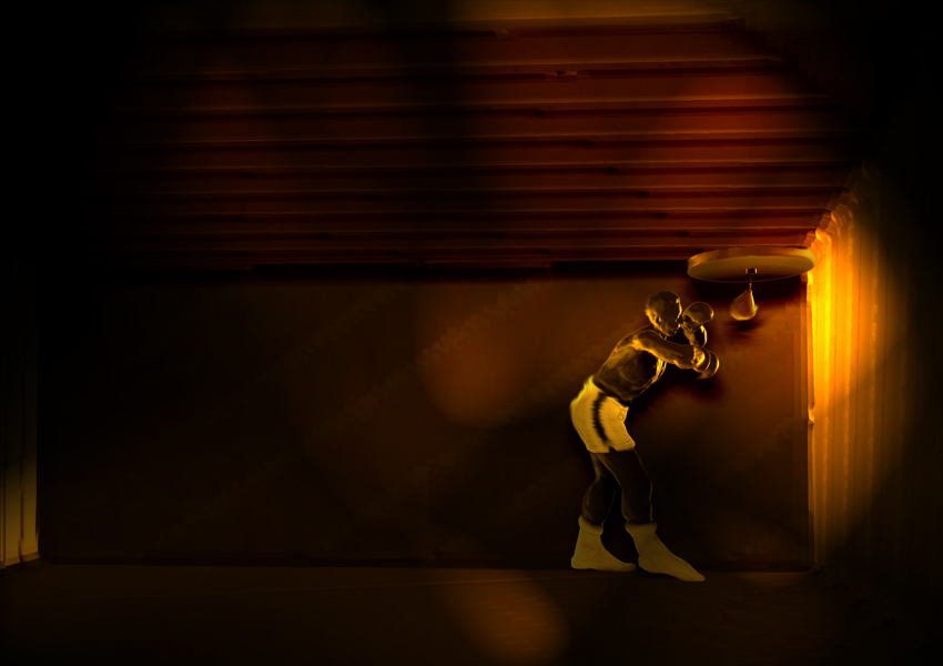 BOXER GYM 5 D.jpg