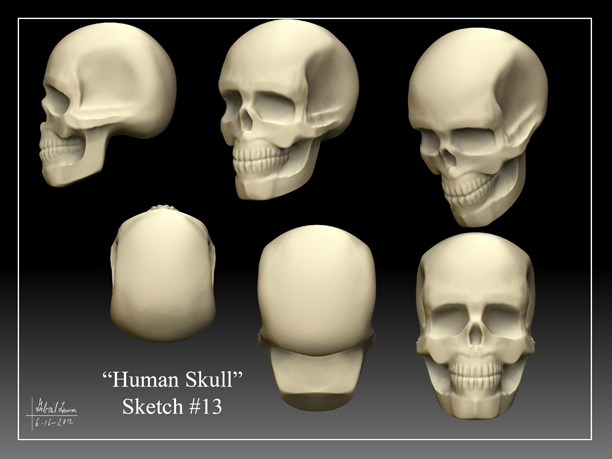 Human_Skull_Sketch_13.jpg