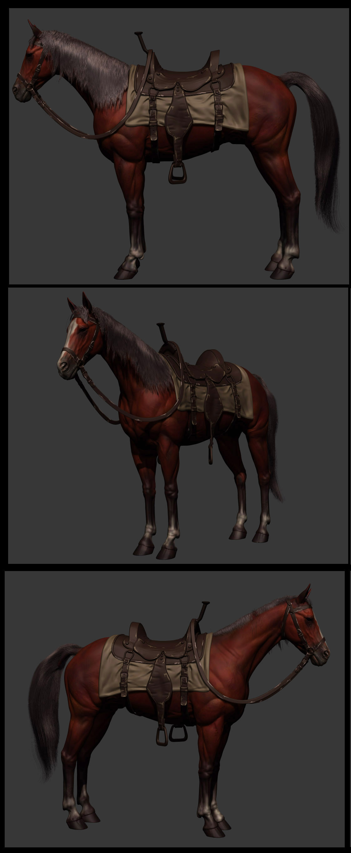 horse_1_(5).jpg