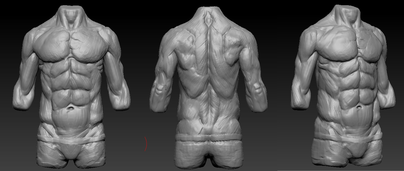 Torso_Week_2DEgree0.jpg
