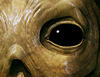 ZBC_THUMB.jpg