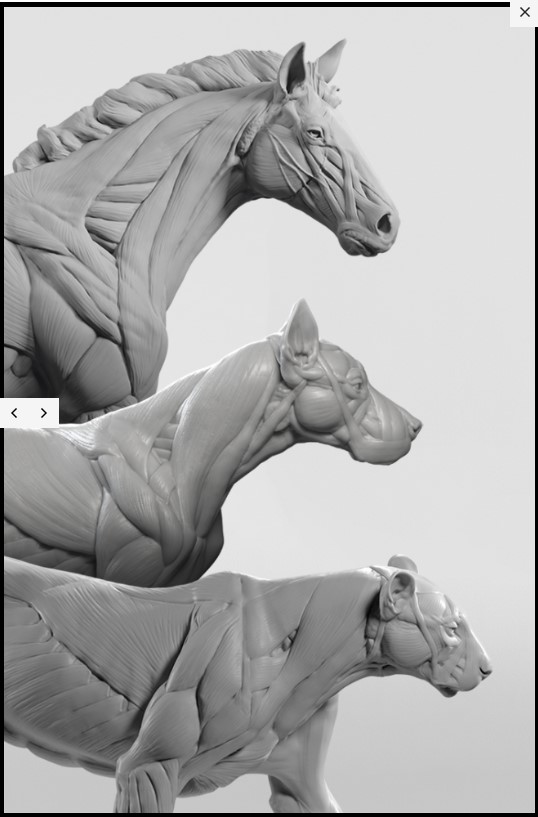 Screenshot_41.jpg