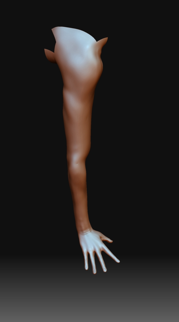 crouch v2c 007.jpg