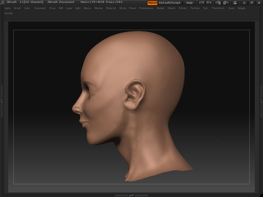 Head1.jpg