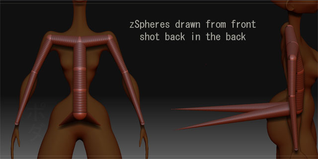 rig_junkInTheTrunk.jpg