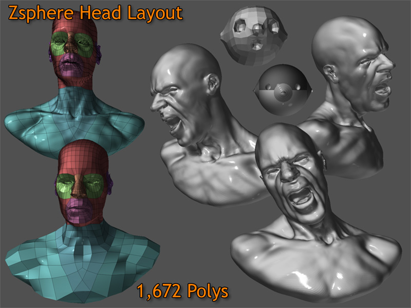 sp_comp_web.jpg