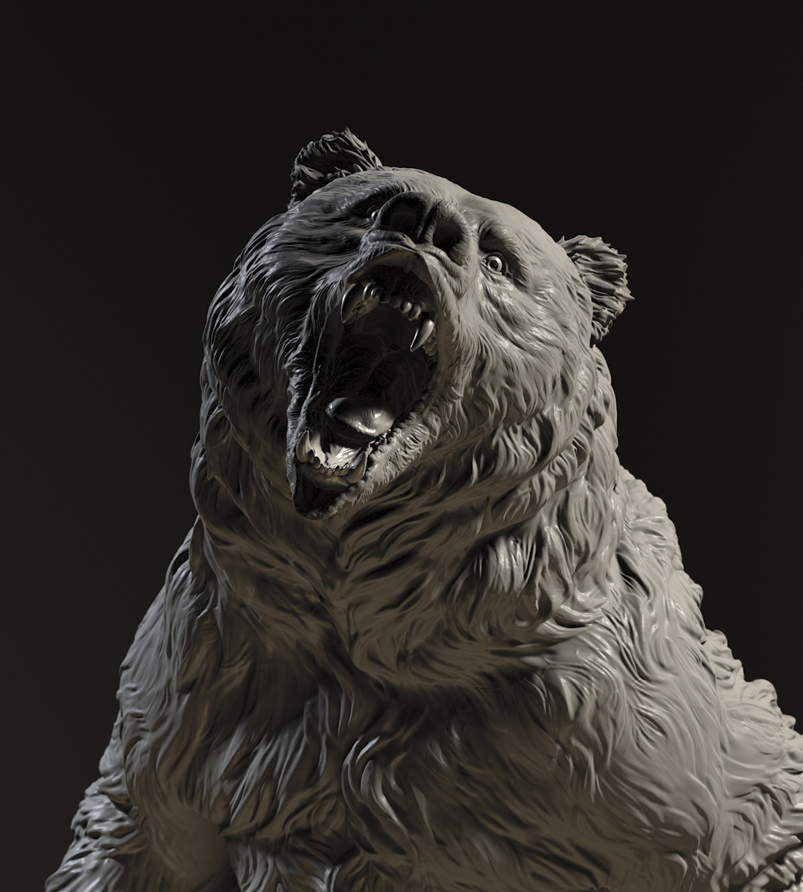 bear_closebeauty_v001.jpg
