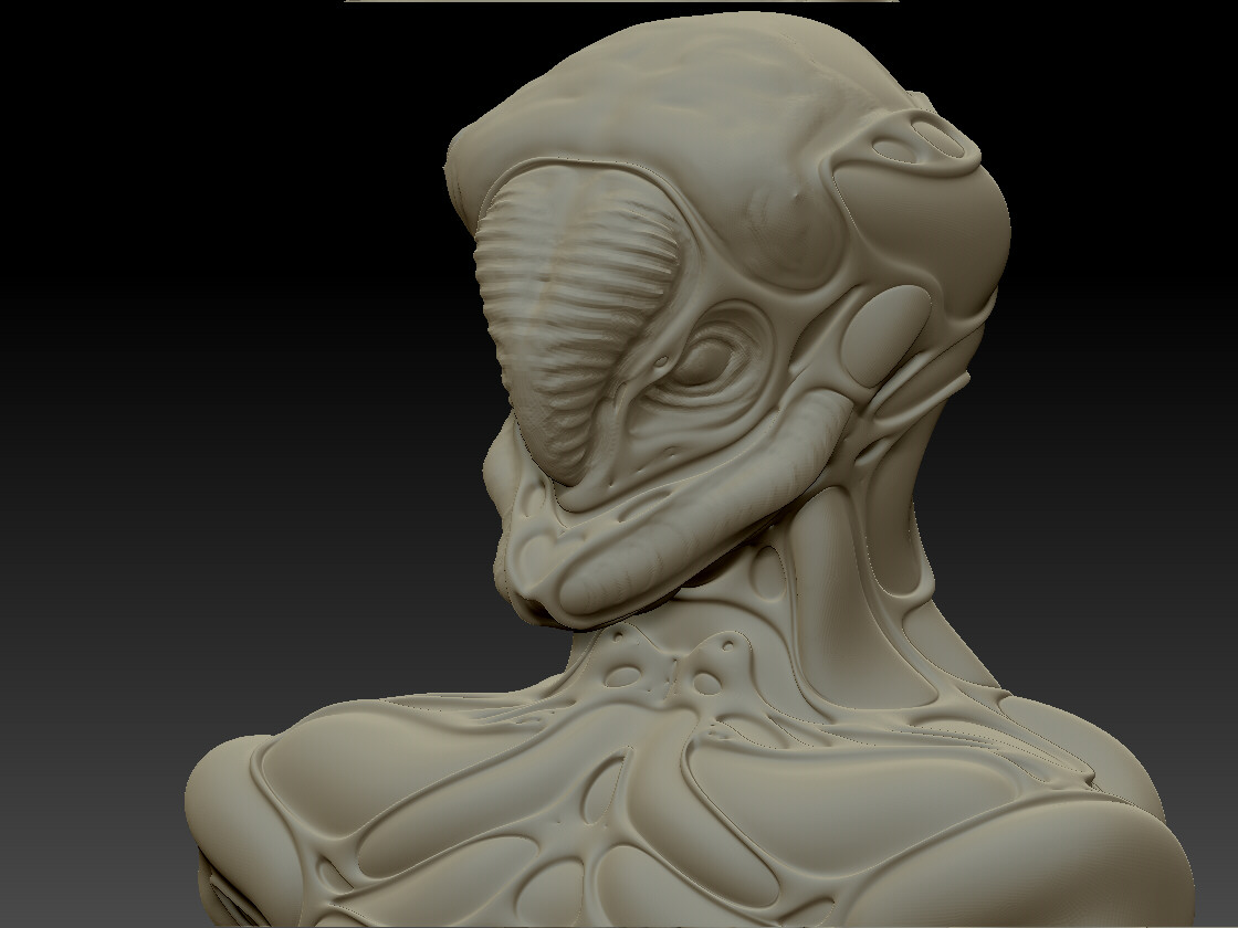 Jan_1hr_per_day_09.JPG