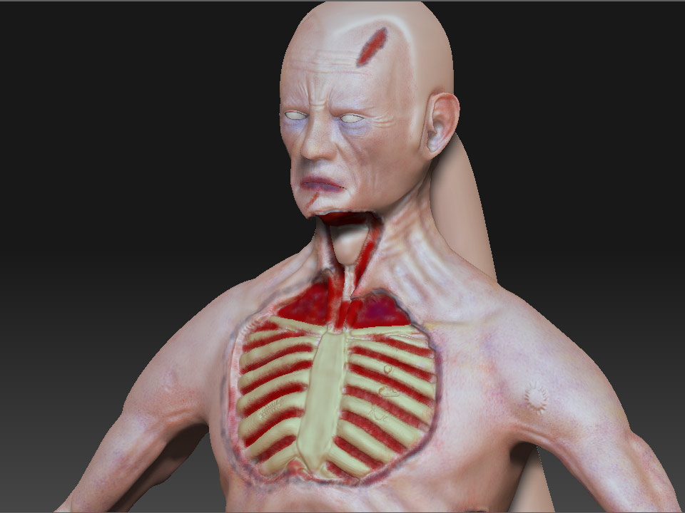 Midknight-ZBSKINRender.jpg