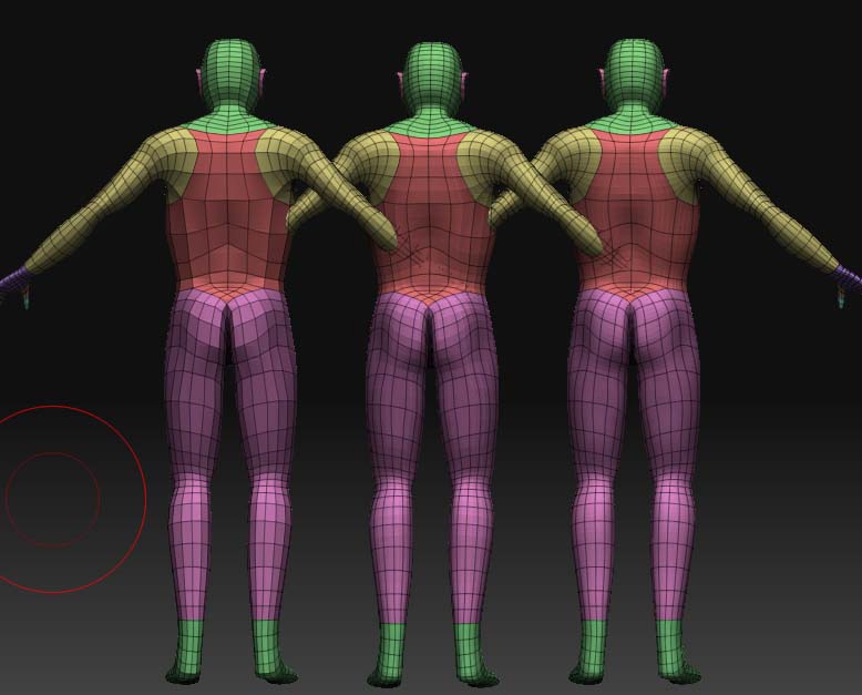 back_v2.jpg