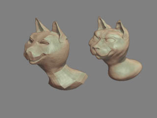 cat model pic.jpg
