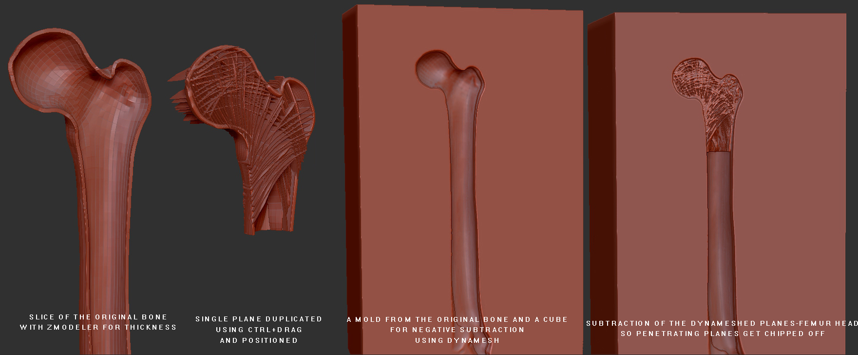 Femur_breakdown.jpg