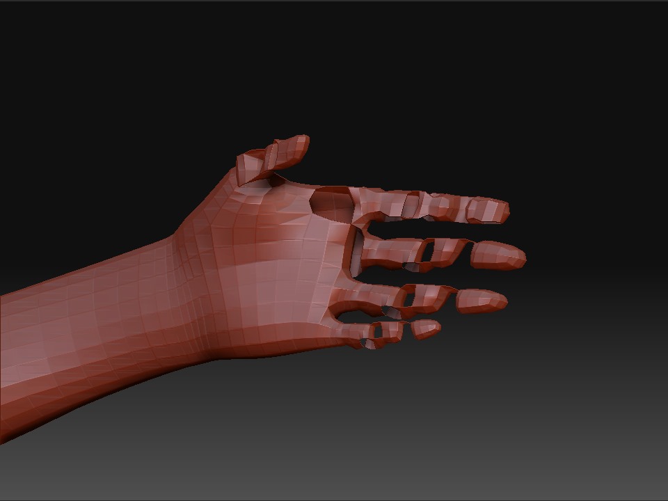 hand.jpg