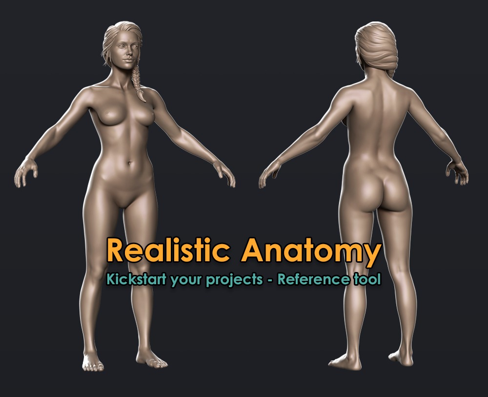 High_Body_Female.jpg