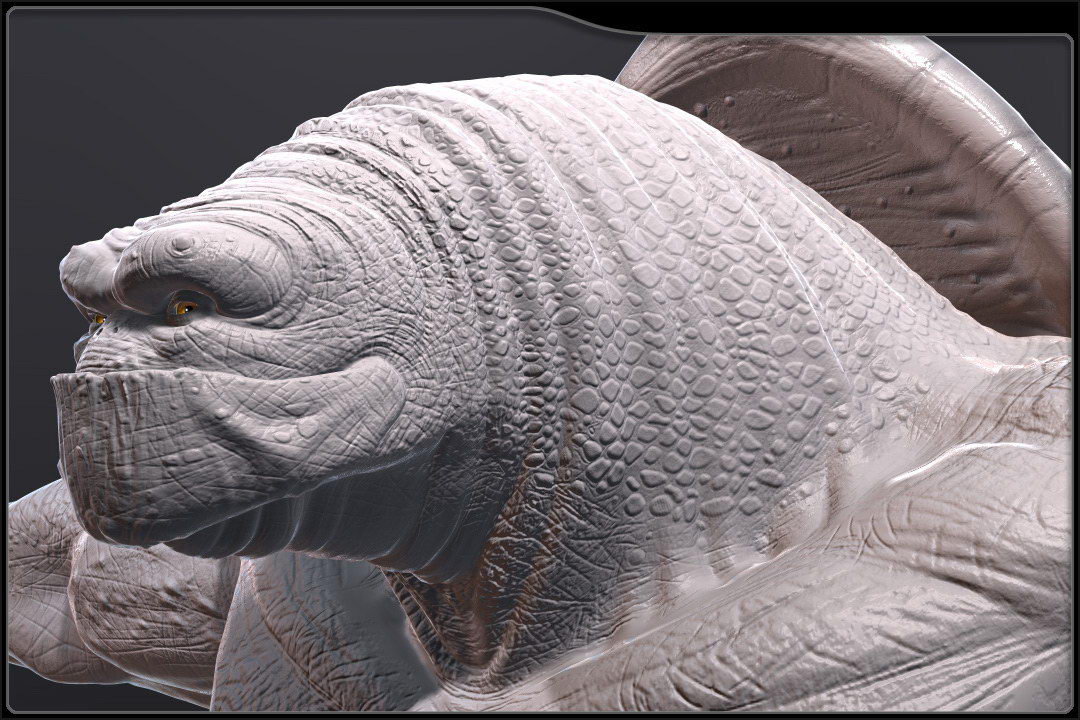 tort_flat_grey_body_render_02.jpg