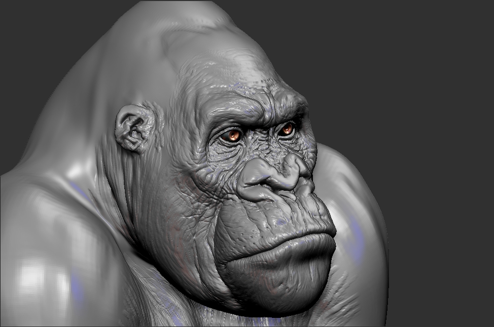 UGM_Gorilla_10.jpg