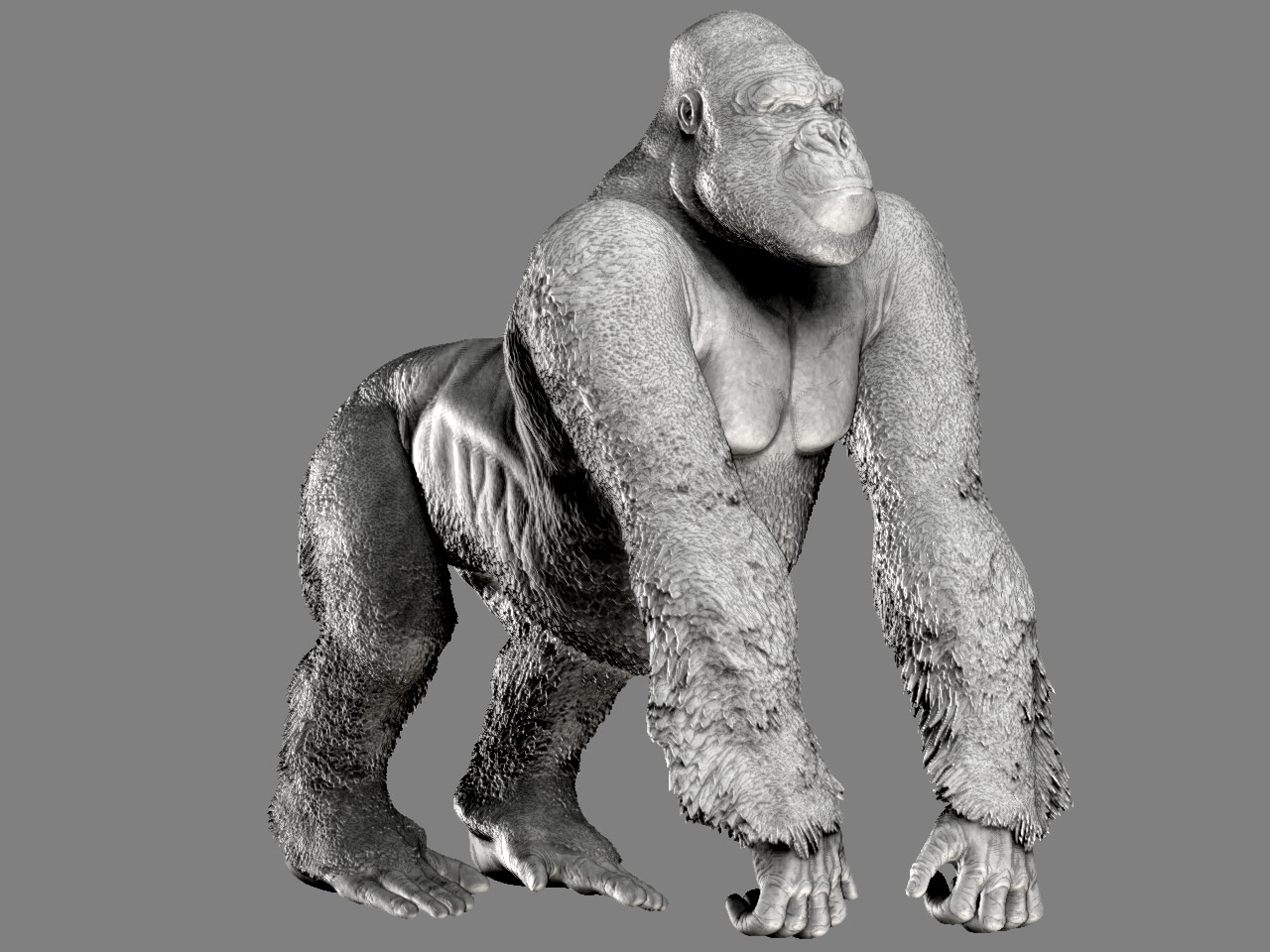 gorilla_02.jpg