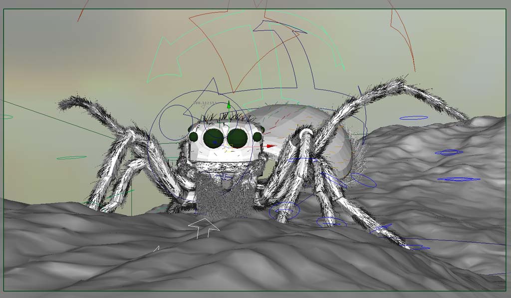 peacockSpiderScreenshot.jpg