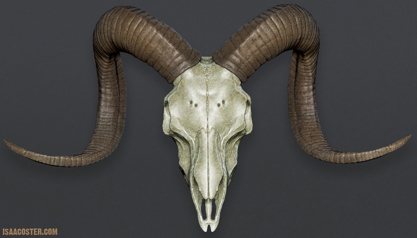 isaac_oster_zbrush_ram_top.jpg