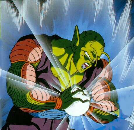 piccolo_13.jpg