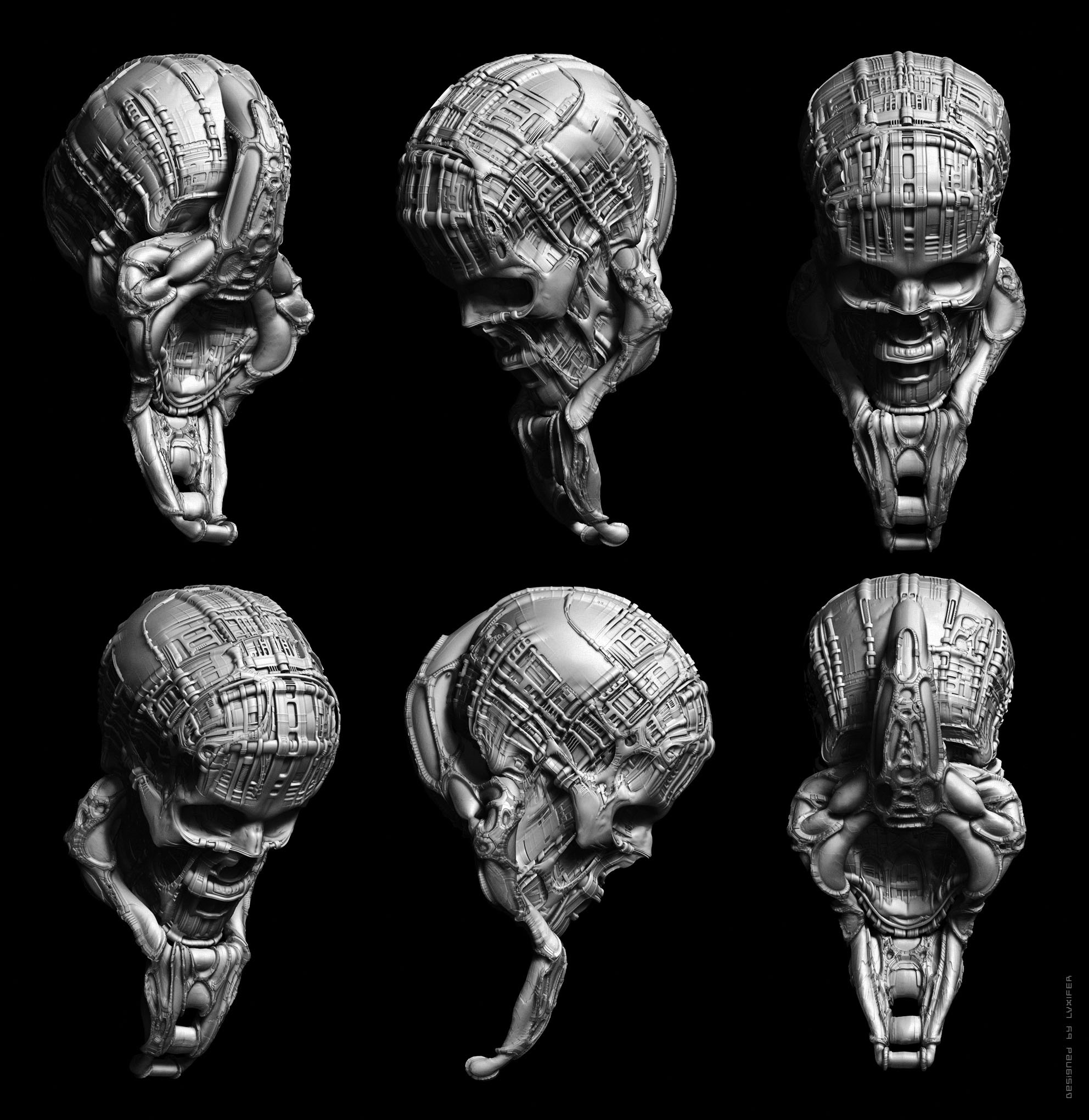 skull_study02.jpg