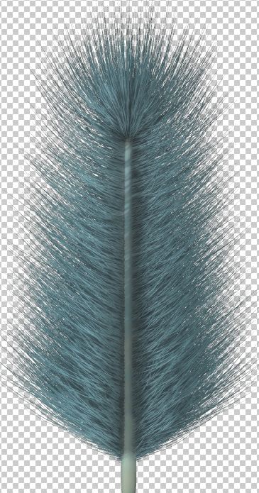 feather.JPG