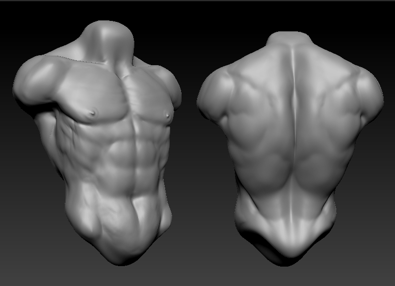 torsosheet.jpg