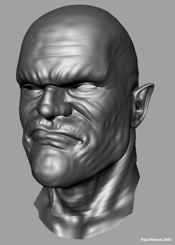 Perspective head.jpg