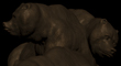 THREE BEAR COMP 1.jpg