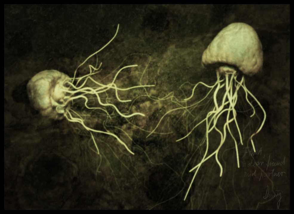 Jellyfish.jpg