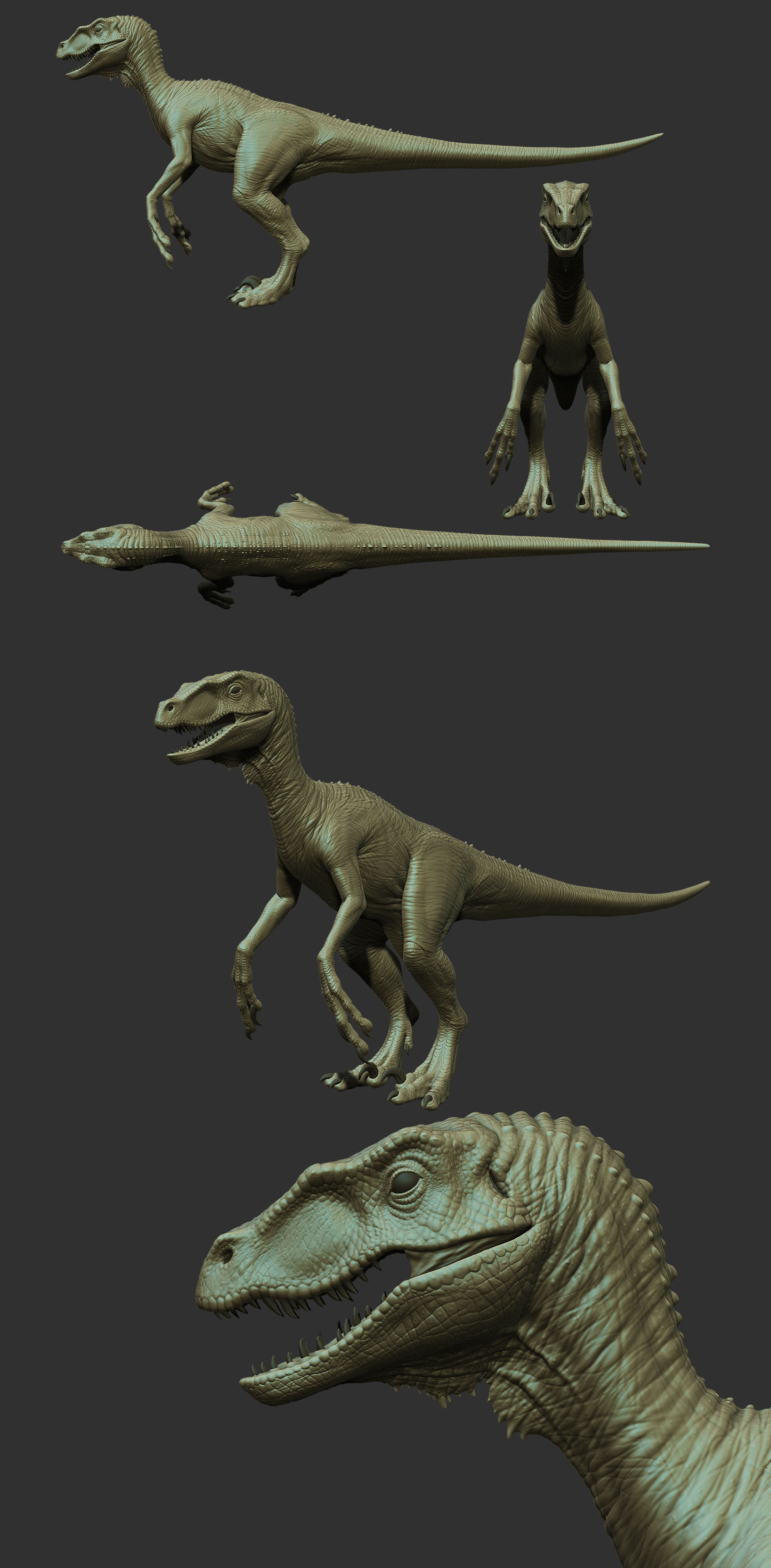 raptorzb.jpg