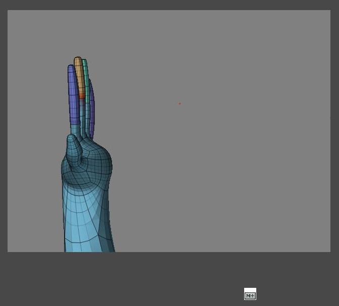 palm.JPG