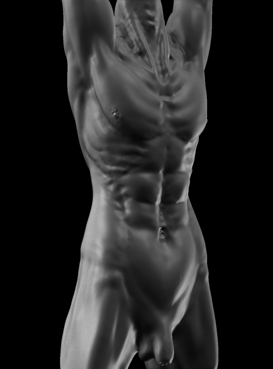 Male-Torso-02.jpg
