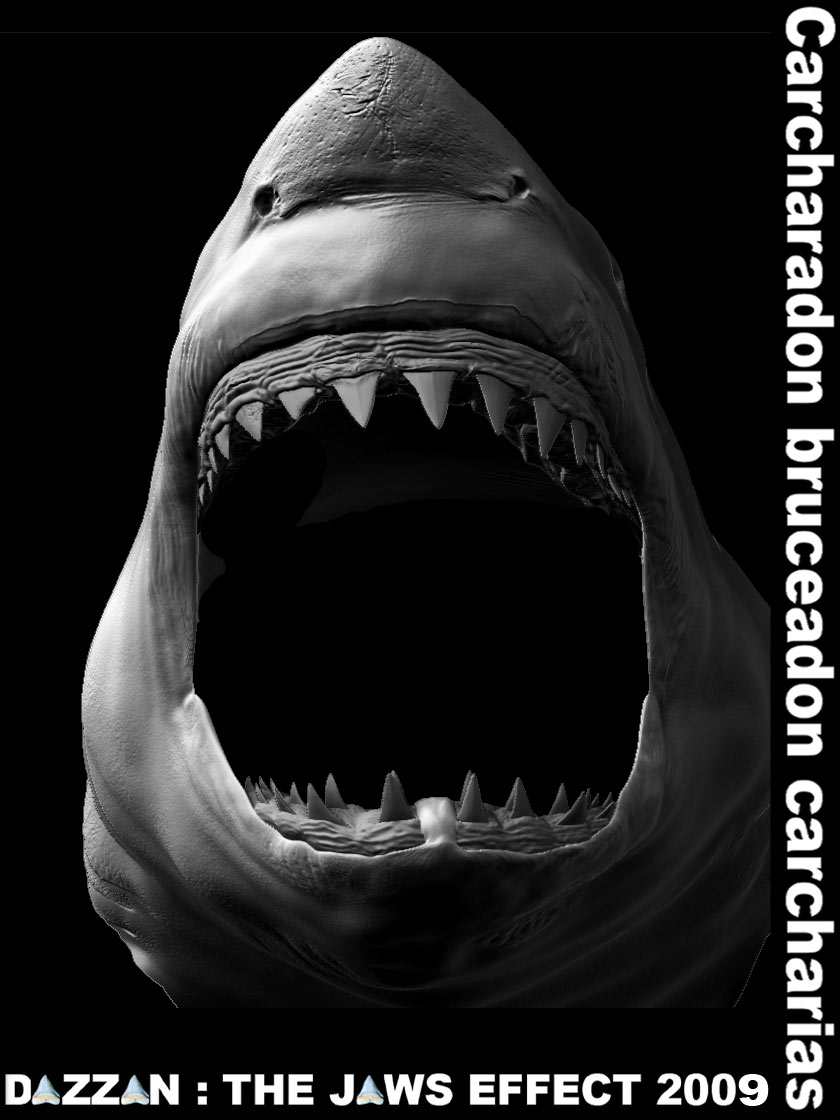 BRUCE_open-mouth-FINAL-DETAILSBASE-EMPTY.jpg