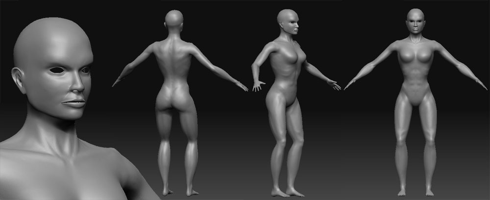femalewip3.jpg