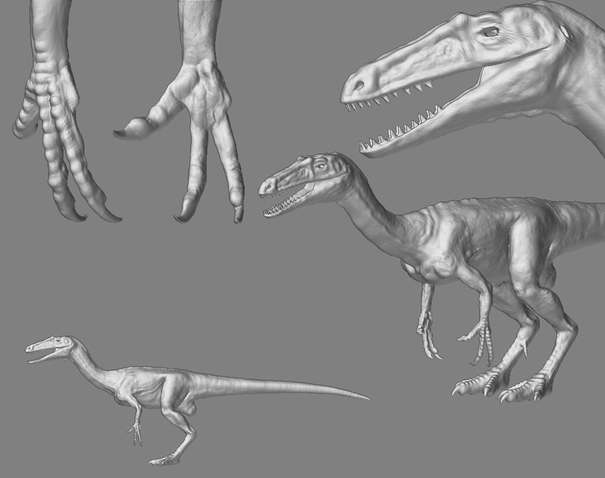 theropod3.jpg