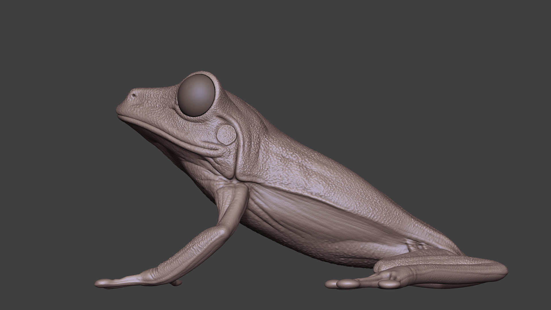 LeafFrog_07.jpg