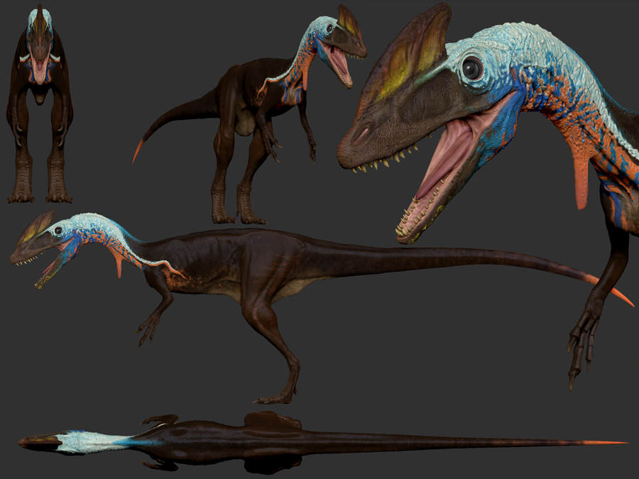 guanlong4.jpg